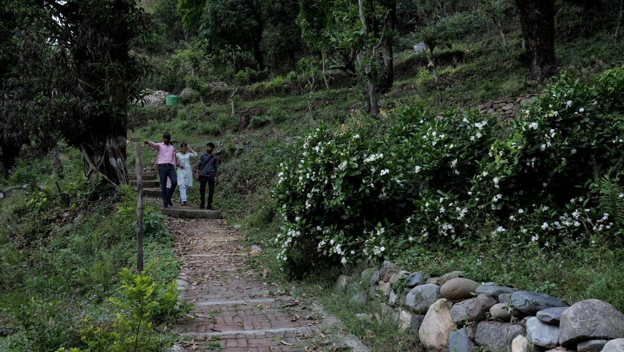 Sukoon - A Wellness Resort, Uttarakhand Chuharpur Εξωτερικό φωτογραφία